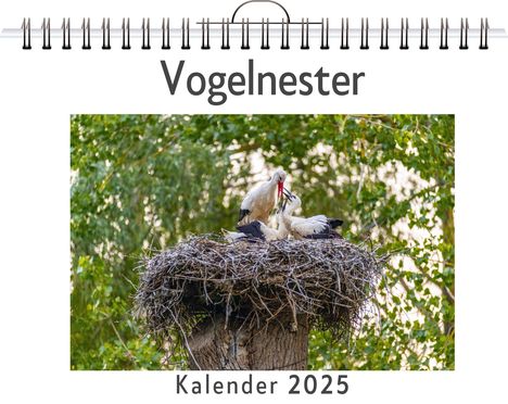 Luca Krause: Vogelnester - (Wandkalender 2025, Kalender DIN A4 quer, Monatskalender im Querformat mit Kalendarium, das perfekte Geschenk), Kalender