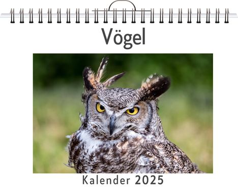 Leah Schwarz: Vögel - (Wandkalender 2025, Kalender DIN A4 quer, Monatskalender im Querformat mit Kalendarium, das perfekte Geschenk), Kalender