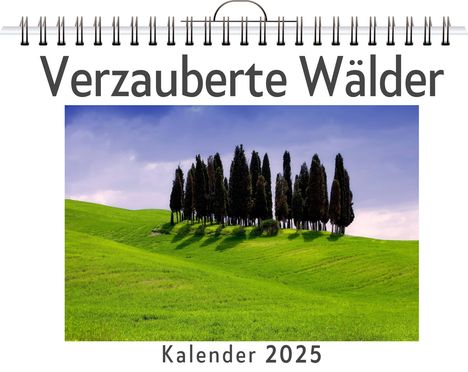 Emma Schmidt: Verzauberte Wälder - (Wandkalender 2025, Kalender DIN A4 quer, Monatskalender im Querformat mit Kalendarium, das perfekte Geschenk), Kalender