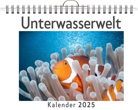 Ben Becker: Unterwasserwelt - (Wandkalender 2025, Kalender DIN A4 quer, Monatskalender im Querformat mit Kalendarium, das perfekte Geschenk), Kalender