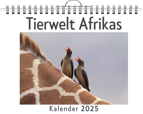 Laura Maier: Tierwelt Afrikas, Kalender