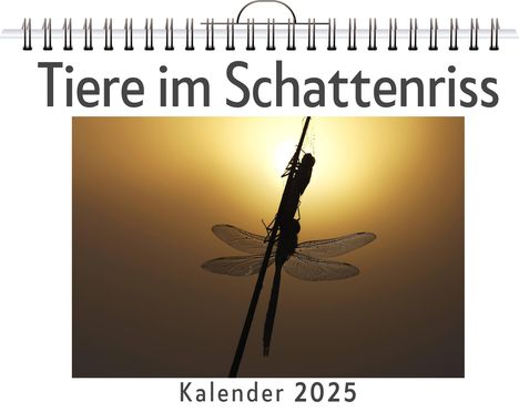 Nora Vogel: Tiere im Schattenriss, Kalender