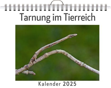 Nora Koch: Tarnung im Tierreich, Kalender