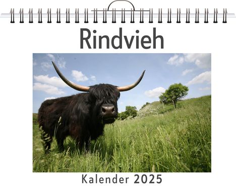 Felix Müller: Rindvieh - (Wandkalender 2025, Kalender DIN A4 quer, Monatskalender im Querformat mit Kalendarium, das perfekte Geschenk), Kalender