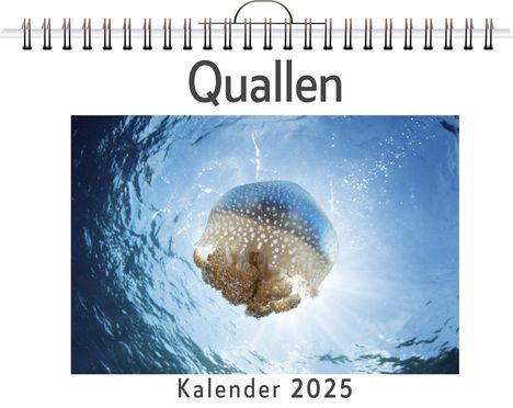 Jakob Weber: Quallen - (Wandkalender 2025, Kalender DIN A4 quer, Monatskalender im Querformat mit Kalendarium, das perfekte Geschenk), Kalender