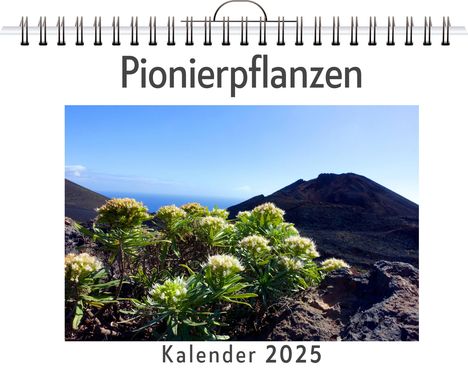 Samuel Günther: Pionierpflanzen - (Wandkalender 2025, Kalender DIN A4 quer, Monatskalender im Querformat mit Kalendarium, das perfekte Geschenk), Kalender