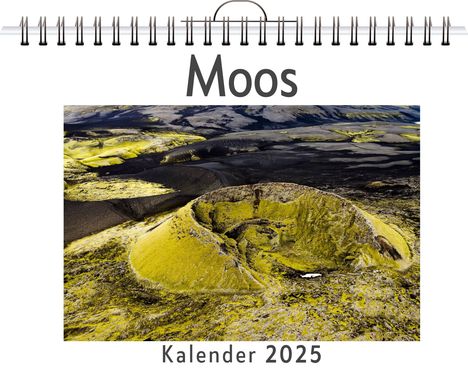 Ava Fischer: Moos - (Wandkalender 2025, Kalender DIN A4 quer, Monatskalender im Querformat mit Kalendarium, das perfekte Geschenk), Kalender