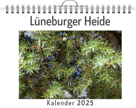 Luisa Werner: Lüneburger Heide - (Wandkalender 2025, Kalender DIN A4 quer, Monatskalender im Querformat mit Kalendarium, das perfekte Geschenk), Kalender