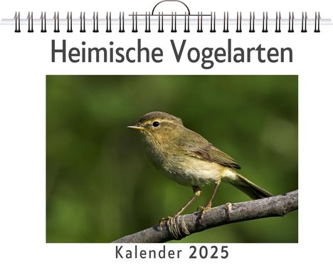 Eva Günther: Heimische Vogelarten - (Wandkalender 2025, Kalender DIN A4 quer, Monatskalender im Querformat mit Kalendarium, das perfekte Geschenk), Kalender