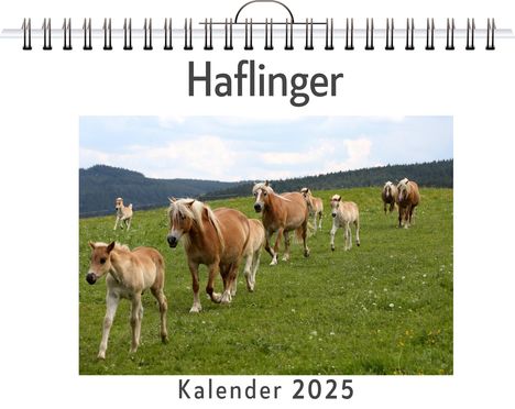 Liam Neumann: Haflinger - (Wandkalender 2025, Kalender DIN A4 quer, Monatskalender im Querformat mit Kalendarium, das perfekte Geschenk), Kalender