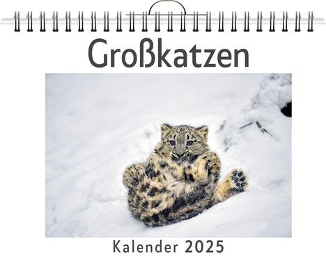 Leon Horn: Großkatzen - (Wandkalender 2025, Kalender DIN A4 quer, Monatskalender im Querformat mit Kalendarium, das perfekte Geschenk), Kalender