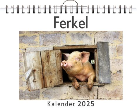 Sofia Münch: Ferkel - (Wandkalender 2025, Kalender DIN A4 quer, Monatskalender im Querformat mit Kalendarium, das perfekte Geschenk), Kalender