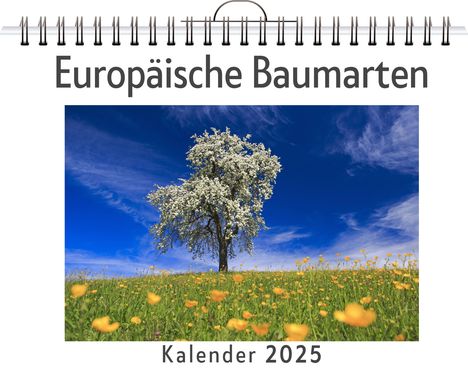 Hannah Meier: Europäische Baumarten - (Wandkalender 2025, Kalender DIN A4 quer, Monatskalender im Querformat mit Kalendarium, das perfekte Geschenk), Kalender