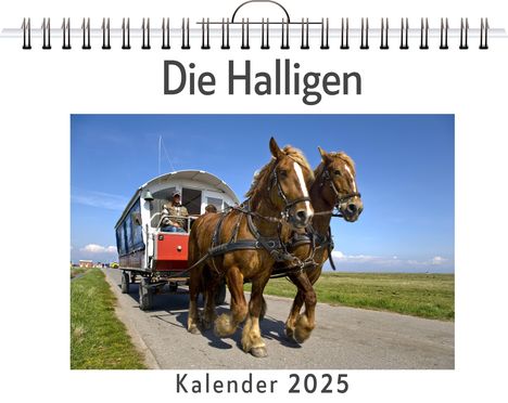 Lena Krüger: Die Halligen - (Wandkalender 2025, Kalender DIN A4 quer, Monatskalender im Querformat mit Kalendarium, das perfekte Geschenk), Kalender