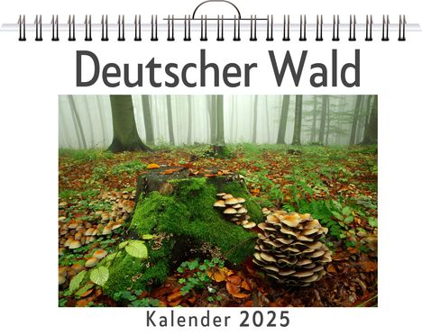 Julia Becker: Deutscher Wald - (Wandkalender 2025, Kalender DIN A4 quer, Monatskalender im Querformat mit Kalendarium, das perfekte Geschenk), Kalender