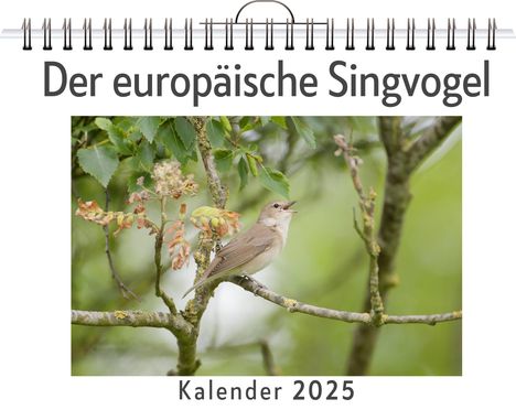 Nora Lange: Der europäische Singvogel - (Wandkalender 2025, Kalender DIN A4 quer, Monatskalender im Querformat mit Kalendarium, das perfekte Geschenk), Kalender