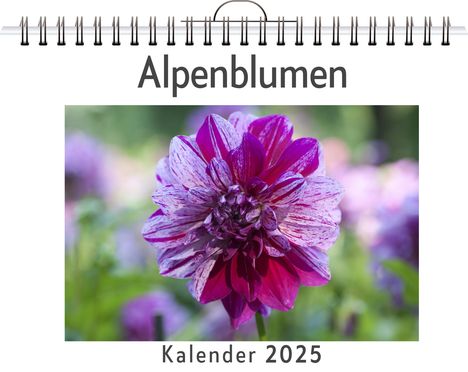 Matteo Möller: Alpenblumen - (Wandkalender 2025, Kalender DIN A4 quer, Monatskalender im Querformat mit Kalendarium, das perfekte Geschenk), Kalender