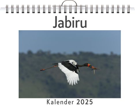 Charlotte Günther: Jabiru - (Wandkalender 2025, Kalender DIN A4 quer, Monatskalender im Querformat mit Kalendarium, das perfekte Geschenk), Kalender