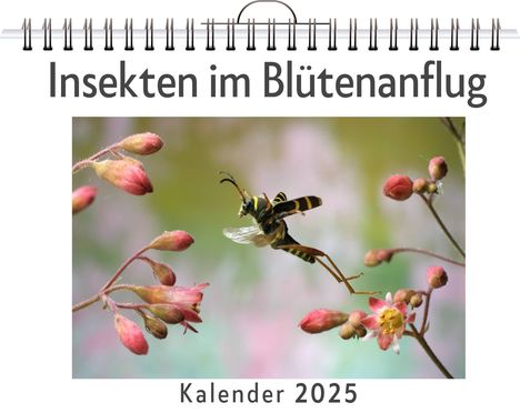 Theo Fischer: Insekten im Blütenanflug - (Wandkalender 2025, Kalender DIN A4 quer, Monatskalender im Querformat mit Kalendarium, das perfekte Geschenk), Kalender