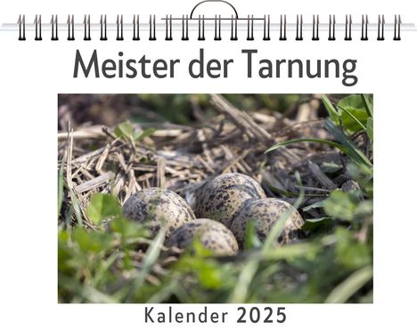 Laura Krause: Meister der Tarnung - (Wandkalender 2025, Kalender DIN A4 quer, Monatskalender im Querformat mit Kalendarium, das perfekte Geschenk), Kalender