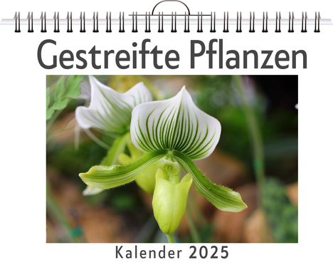 Isabella Frank: Gestreifte Pflanzen - (Wandkalender 2025, Kalender DIN A4 quer, Monatskalender im Querformat mit Kalendarium, das perfekte Geschenk), Kalender