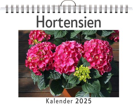 Charlotte Hartmann: Hortensien - (Wandkalender 2025, Kalender DIN A4 quer, Monatskalender im Querformat mit Kalendarium, das perfekte Geschenk), Kalender