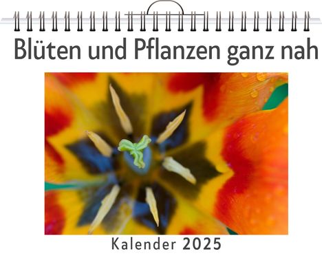 Emily Schäfer: Blüten und Pflanzen ganz nah - (Wandkalender 2025, Kalender DIN A4 quer, Monatskalender im Querformat mit Kalendarium, das perfekte Geschenk), Kalender