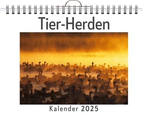 Eva Frank: Tier-Herden, Kalender