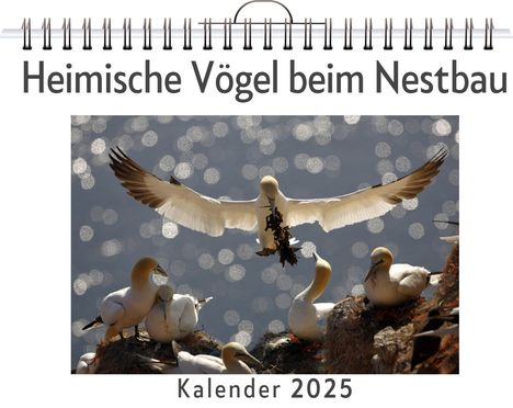 Emma Werner: Heimische Vögel beim Nestbau, Kalender