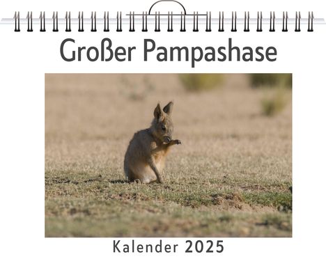 Theo Fischer: Großer Pampashase, Kalender