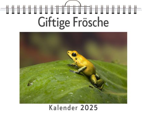 Ben Peters: Giftige Frösche, Kalender