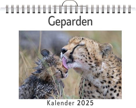 Isabella Scholz: Geparden, Kalender