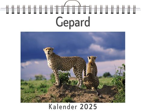 Jonah Huber: Gepard, Kalender