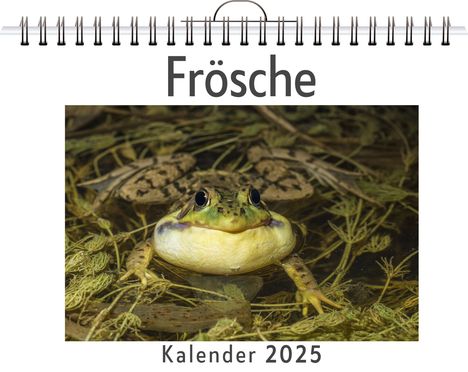 Henry Koch: Frösche, Kalender