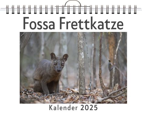 Nora Werner: Fossa Frettkatze, Kalender