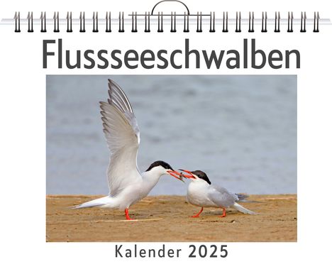 Elias Hoffmann: Flussseeschwalben, Kalender