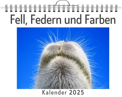 Luca Vogel: Fell, Federn und Farben, Kalender