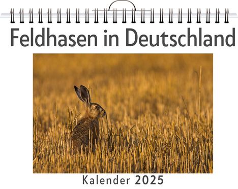 Ella Richter: Feldhasen in Deutschland, Kalender