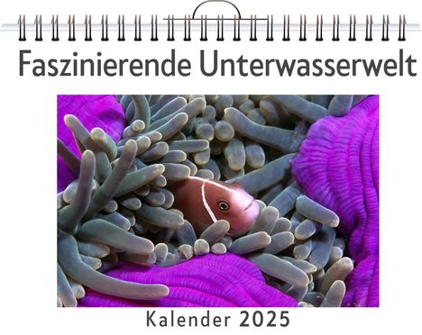 Lily Scholz: Faszinierende Unterwasserwelt, Kalender