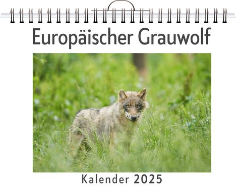 Sofia Fuchs: Europäischer Grauwolf, Kalender