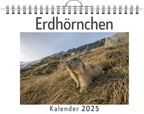 Emil Maier: Erdhörnchen, Kalender