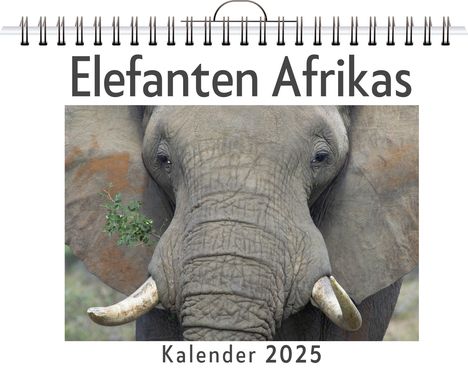 Ella Weber: Elefanten Afrikas, Kalender