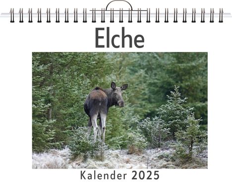 Clara Möller: Elche, Kalender