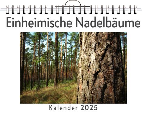 Leon Frank: Einheimische Nadelbäume, Kalender