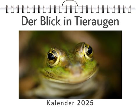 Henry Werner: Der Blick in Tieraugen, Kalender