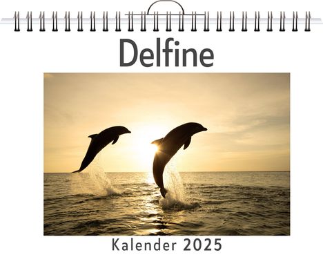 Jonah Keller: Delfine, Kalender