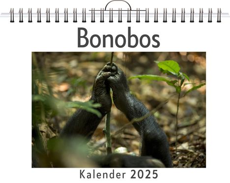 Tim Neumann: Bonobos, Kalender