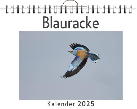 Nele Braun: Blauracke, Kalender