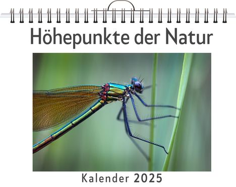 Hannah Schmitz: Höhepunkte der Natur, Kalender