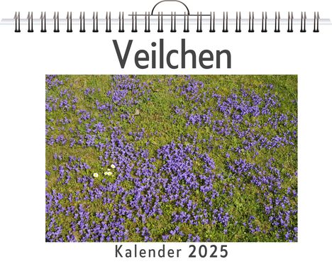 Luisa Hartmann: Veilchen, Kalender